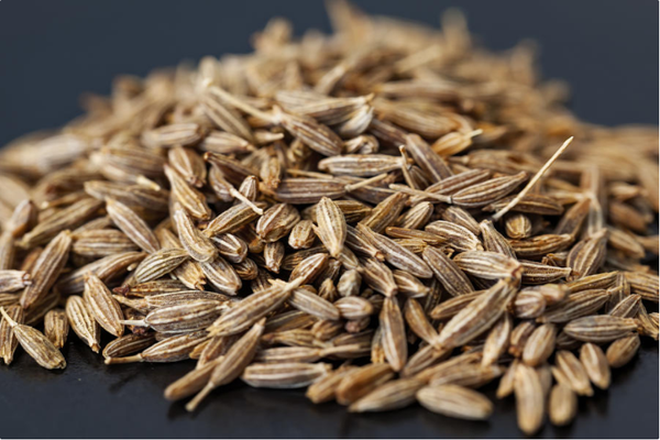 Cumin from 인도 supplied by WholeSeedFarm - Indian Variety - Desi 커민 씨