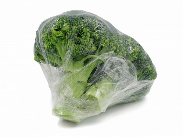 Broccoli from Netherlands supplied by Boekel Handel BV - Green Fresh Headed Broccoli