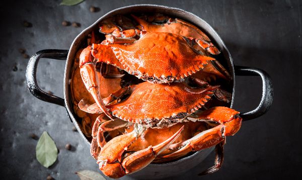 Crab from United States supplied by Del Rosario Distribution - Snow Crab - Deepsea Crab (=Paralomis granulosa=Centollon=Chilean Snow Crab=Antarctic Snow Crab=Ice Crab) Fresh Crab