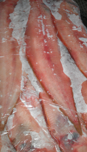 Frozen Red Sole from 덴마크 supplied by Harald Iversen and Son - Finless Sole (=Pardachirus marmoratus =Speckled Sole =Red Sea Moses Sole) 냉동 솔피쉬