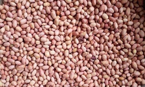 PEANUT KERNELS from 남아프리카공화국 supplied by ALLTRADES BUSINESS PTY LTD - Peeled 땅콩 알맹이