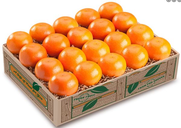 Fresh Mandarin from United States supplied by Pell's Citrus & Nursery - Orange Fresh Mandarin