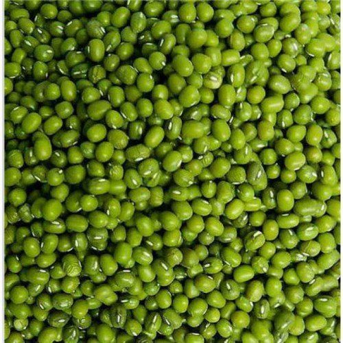GREEN MUNG from 탄자니아 supplied by OAKSTONE TRADING LIMITED - Dried (=Dehydrated) 말린 녹두
