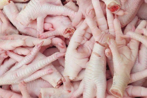 FROZEN CHICKEN PAW from 브라질 supplied by Global Frozen Chicken - Farm 냉동 미절단 닭고기