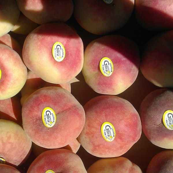 Peach from 튀니지 supplied by GROUPE BRA D'ENREPOSAGE FRIGORIFIQUE - Yellow Flesh 신선 복숭아