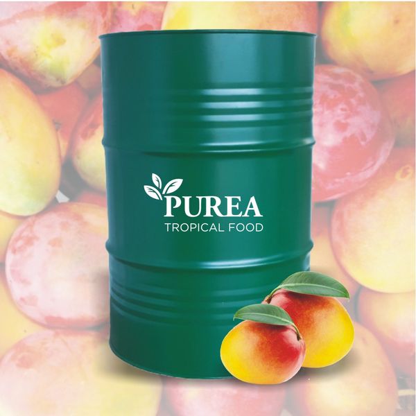 Mango Puree from 브라질 supplied by PUREA Industria Alimentícia - Puree 망고 페이스트와 퓨레