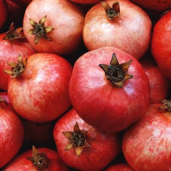 Pomegranate from 남아프리카공화국 supplied by Vanguard International - Red 신선 석류