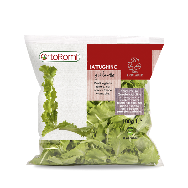lettuce from 이탈리아 supplied by OrtoRomi - Green 신선 상추