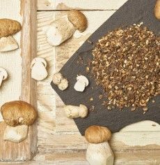 Boletus Mushroom from Germany supplied by TRO-Kost GmbH - Boletus Varieties Other Fresh Mushrooms