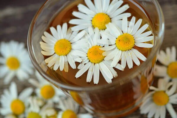 Chamomile Tea from 멕시코 supplied by Exkal - Chamomile 허브차