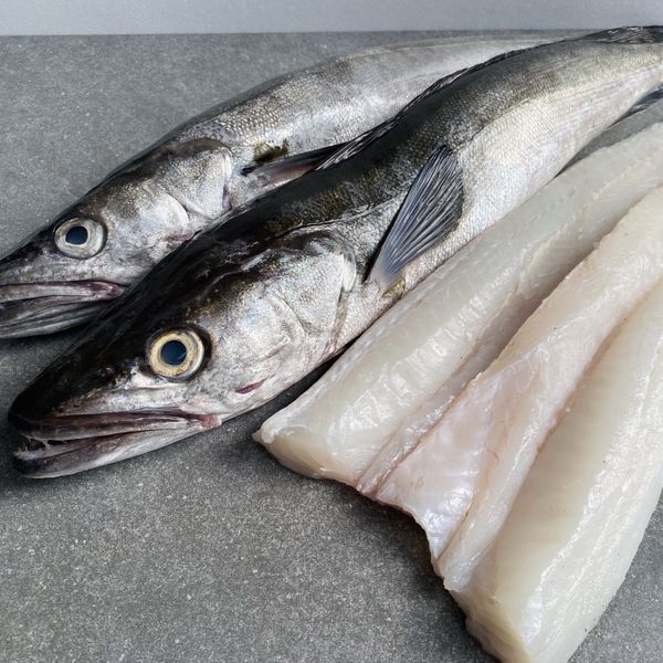 Hake from United Kingdom supplied by GT Seafoods Ltd - Polystyrene Box (3kg) (=Styrofoam Box) Fresh Hake