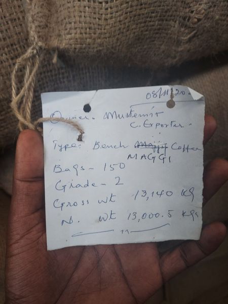 Nekemte G4 from 에티오피아 supplied by Mustmer Coffee Exporter - Ethiopia Lekempti 생원두