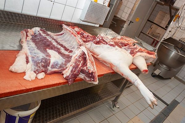 Fresh Pork Meat from 독일 supplied by Butcher's Shop Siebert & Armin`s Farm - Cuts 신선 돼지고기 햄 및 목살