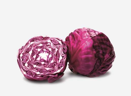 Red cabbage from 스페인 supplied by Frutos Los Pisaos - Red Rockie (=Red Rookie F1) 신선 양배추