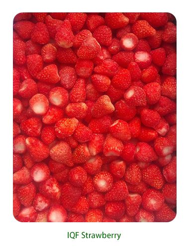 IQF Strawberry from China supplied by Shandong Zhongbo Food Co., Ltd. - Red Frozen Strawberry