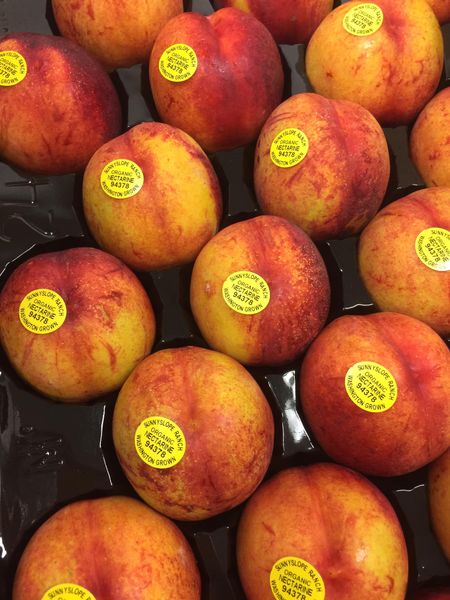Fresh Nectarines from United States supplied by Sunnyslope Ranch - Fresh (=Chilled) Fresh Nectarine