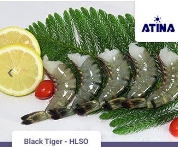 Black Tiger - HLSO from 인도네시아 supplied by PT. Alter Trade Indonesia - HLSO (Headless Shell On) 냉동 새우