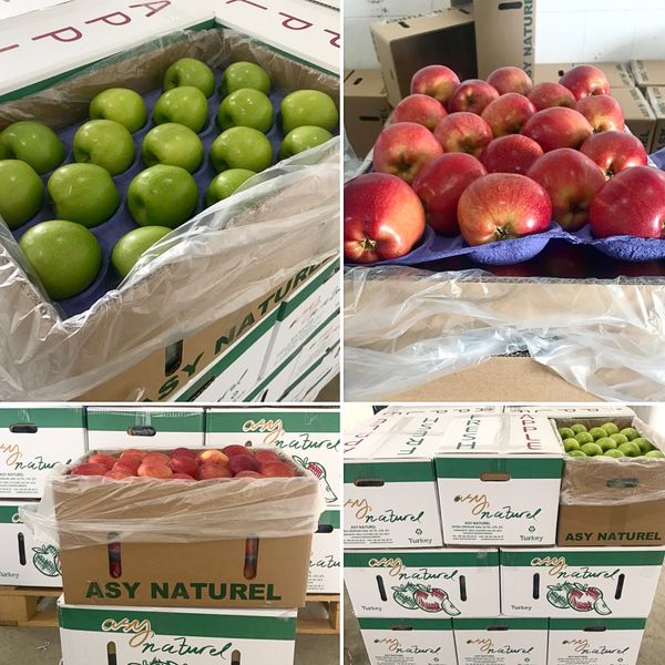 Apple from 튀르키예 supplied by Asy Naturel - Scarlet Varieties 신선 사과