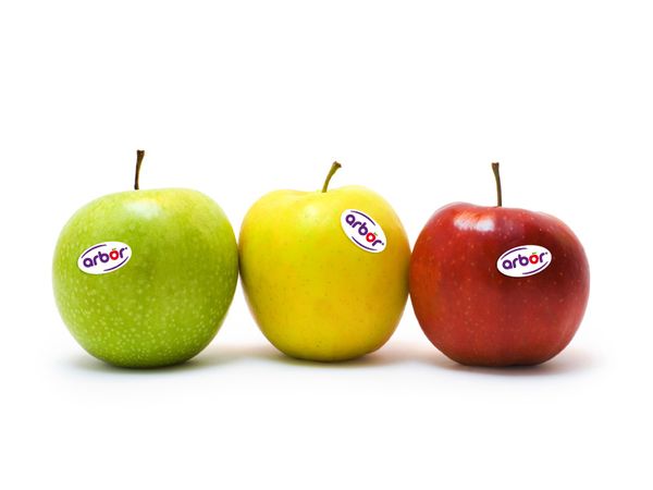 Apple from Morocco supplied by Groupe Arbor - Mixed Fresh Apple