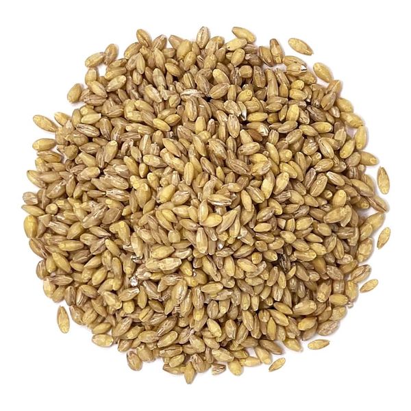 Barley from Czechia supplied by ZEMAS AG - As per customer's request Barley
