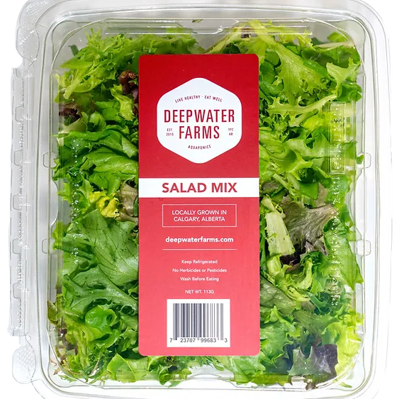 Fresh Lettuce from Canada supplied by Deepwater Farms - Multileaf Fresh Lettuce