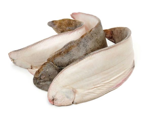 Sole from 튀르키예 supplied by Imren Marmara Aquaculture - Whole (=In The Round) 냉동 솔피쉬