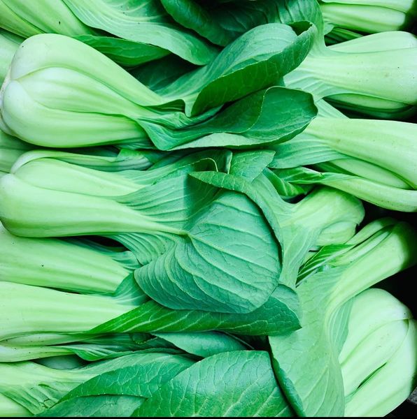 Bokchoi from 미국 supplied by Canton Food Co - 청경채