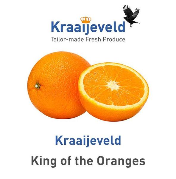 Fresh Whole Orange from Netherlands supplied by KRAAIJEVELD GROENTE EN FRUIT - Whole Fresh Orange