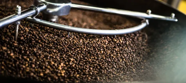 Roasted Coffee Bean from 아랍 에미리트 연합국 supplied by Fair Connection FZE - Brown 생원두
