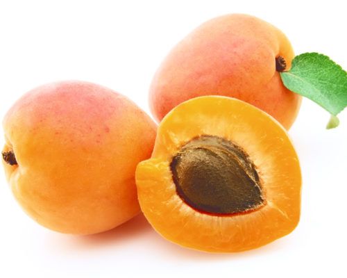Fresh Apricot from Iran supplied by MASCO holding company - Whole Fresh Plum