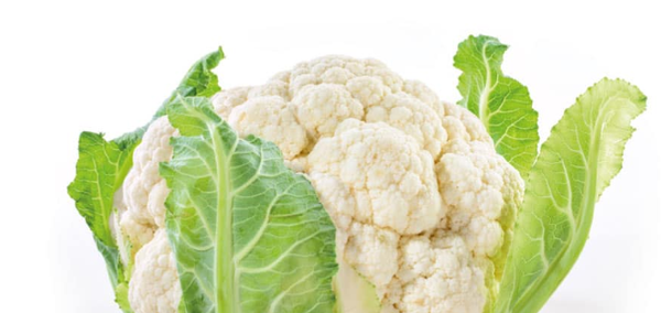 Cauliflower from Spain supplied by Agricultural Santa Eulalia - White Fresh Cauliflower