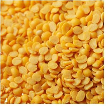 TOOR DALL from 미얀마 [버마] supplied by AVON RUPPE (S) PTE LTD - Dehusked 말린 비둘기콩