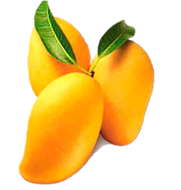 Mango Manila from 멕시코 supplied by Grupo Citrofrut S.A. de C.V. - Manila 신선 망고