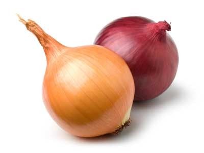 Red Onions from 독일 supplied by Kreifelts Zwiebeln - Raw 신선 양파