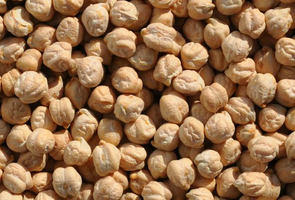 Chickpeas from United States supplied by Joseph's Grainery - Brown Dried Chickpea