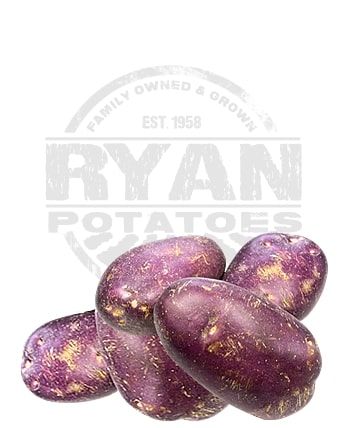 Royal Blue from 호주 supplied by Ryan Potatoes - 보라색 신선 일반 감자