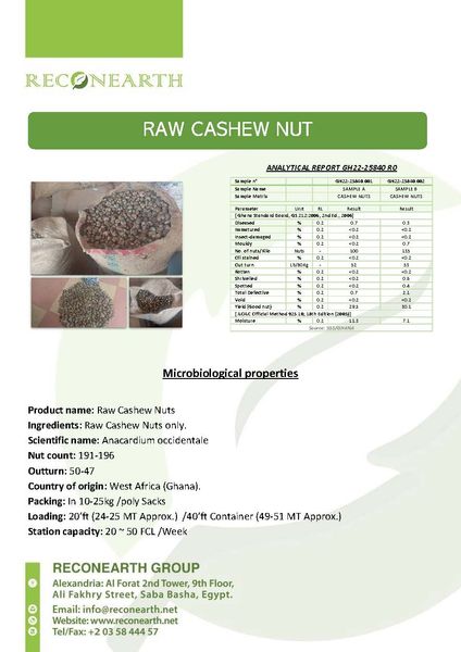 Raw Cashew Nuts from Ghana supplied by RECONEARTH Group - W180 Raw Cashew Nut