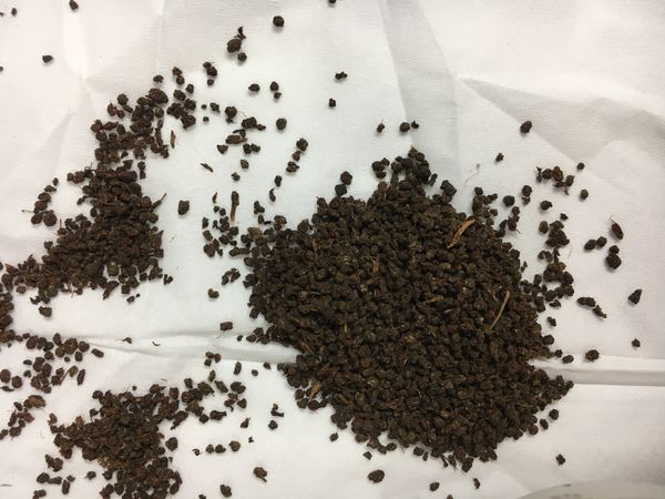 PF CTC Black Tea Organic from Vietnam supplied by Nang Mai Export Tea Company Limited - Assam Bulk Black Tea
