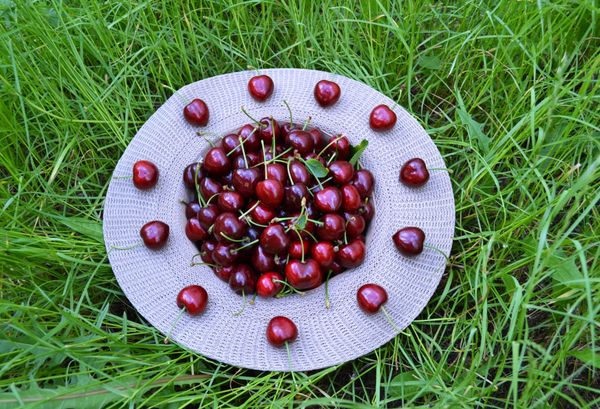 Fresh Cherry from Moldova supplied by Ecospirit SRL - Whole Fresh Sweet Cherry