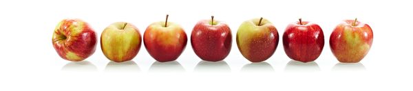 Fresh Apple from 독일 supplied by Obsthof Moje - 바이컬러 - 노란색과 녹색 신선 사과