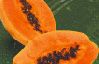 Papaya pulp from Brazil supplied by Delta Citrus - Orange Flesh Fresh Papaya