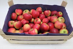 Apples from Netherlands supplied by Agf online - Red Fresh Apple
