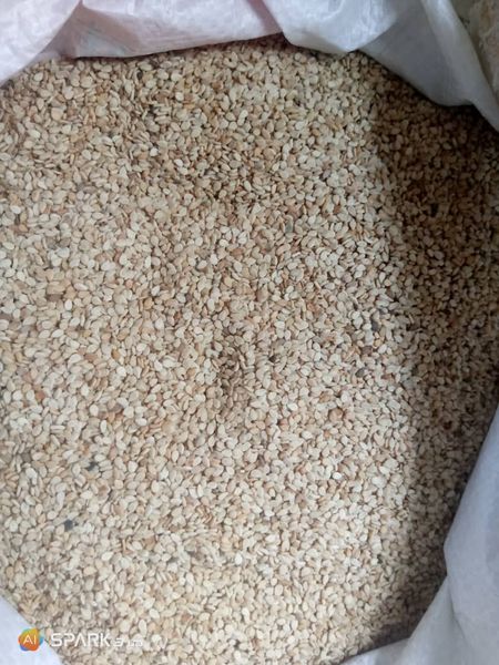 Non GMO Sesame seeds from 가나 supplied by Walnan 4 Agro Commodities Services - 생 참깨