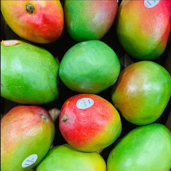 Mango from 미국 supplied by Canton Food Co - Whole 신선 망고