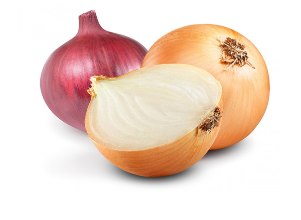 Onion from Netherlands supplied by FlevoTrade Dronten B.V. - Yellow Onion - Grano de Oro (=Valencia=Valenciana) Fresh Onion
