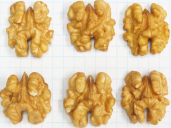 Premium Halves Walnut Kernel from 미국 supplied by Grower Direct Nut Co. - Halves 호두 알맹이