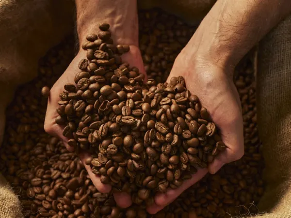Coffee from 영국 supplied by Kerry Foods - GB - Whole Beans 생원두
