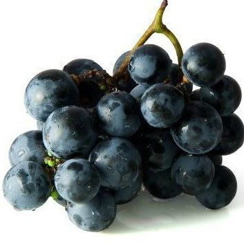 Grape from South Africa supplied by In2Fresh - Seedless Fresh Grape