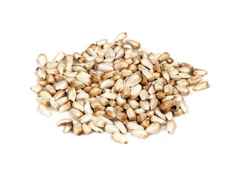 Safflower Seed from 미국 supplied by Adams Group - Raw (=Natural) 잇꽃 씨