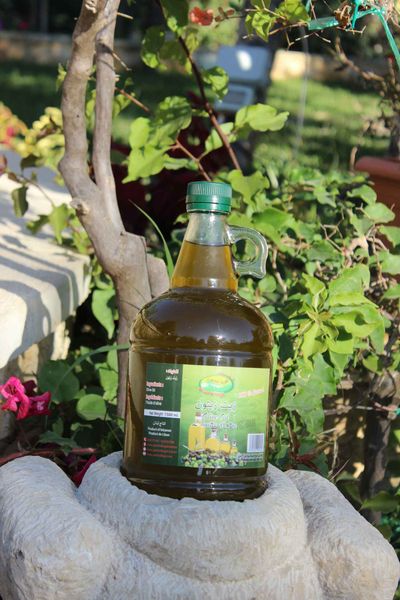 Olive Oil from 레바논 supplied by Green Village Lebanon - Glass Jar (=Glass Bottle) 올리브유